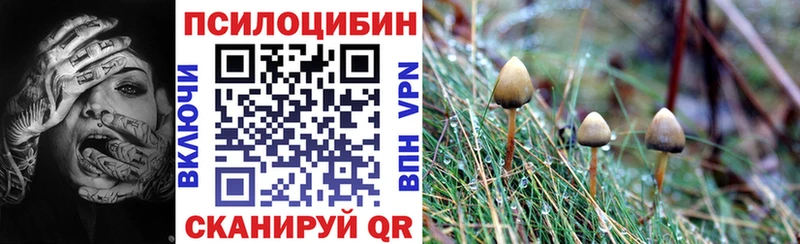 Купить где  Асино  Псилоцибиновые грибы прущие грибы 